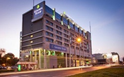 golden tulip